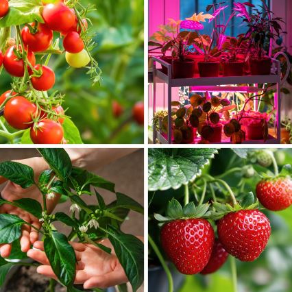 Brilagi - Lámpara de mesa flexible LED regulable para el cultivo de plantas VITABLOOM 3xLED/10W/230V negro