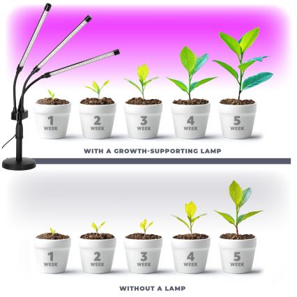 Brilagi - Lámpara de mesa flexible LED regulable para el cultivo de plantas VITABLOOM 3xLED/10W/230V negro