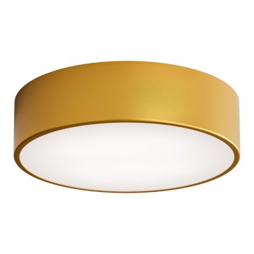Brilagi - Plafón CLARE 2xE27/24W/230V diá. 30 cm dorado