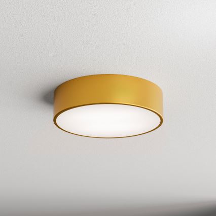 Brilagi - Plafón CLARE 2xE27/24W/230V diá. 30 cm dorado