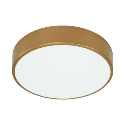 Brilagi - Plafón CLARE 3xE27/24W/230V diá. 40 cm dorado