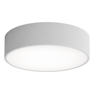 Brilagi - Plafón de baño CLARE 2xE27/24W/230V diá. 30 cm IP54 gris