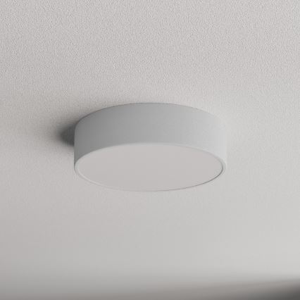 Brilagi - Plafón de baño CLARE 2xE27/24W/230V diá. 30 cm IP54 gris