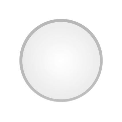 Brilagi - Plafón de baño CLARE 2xE27/24W/230V diá. 30 cm IP54 gris