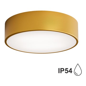 Brilagi - Plafón de baño CLARE 3xE27/24W/230V diá. 30 cm IP54 dorado