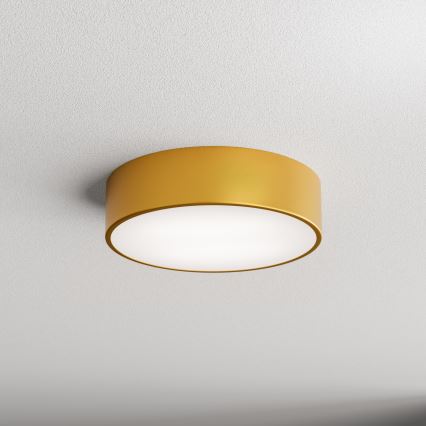 Brilagi - Plafón de baño CLARE 3xE27/24W/230V diá. 30 cm IP54 dorado