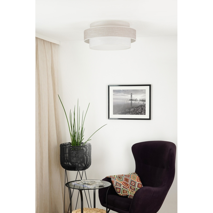 Brilagi - Plafón DOVER SPACE LED/12W/230V diá. 50 cm 3000K/4000K/6400K gris/color crema