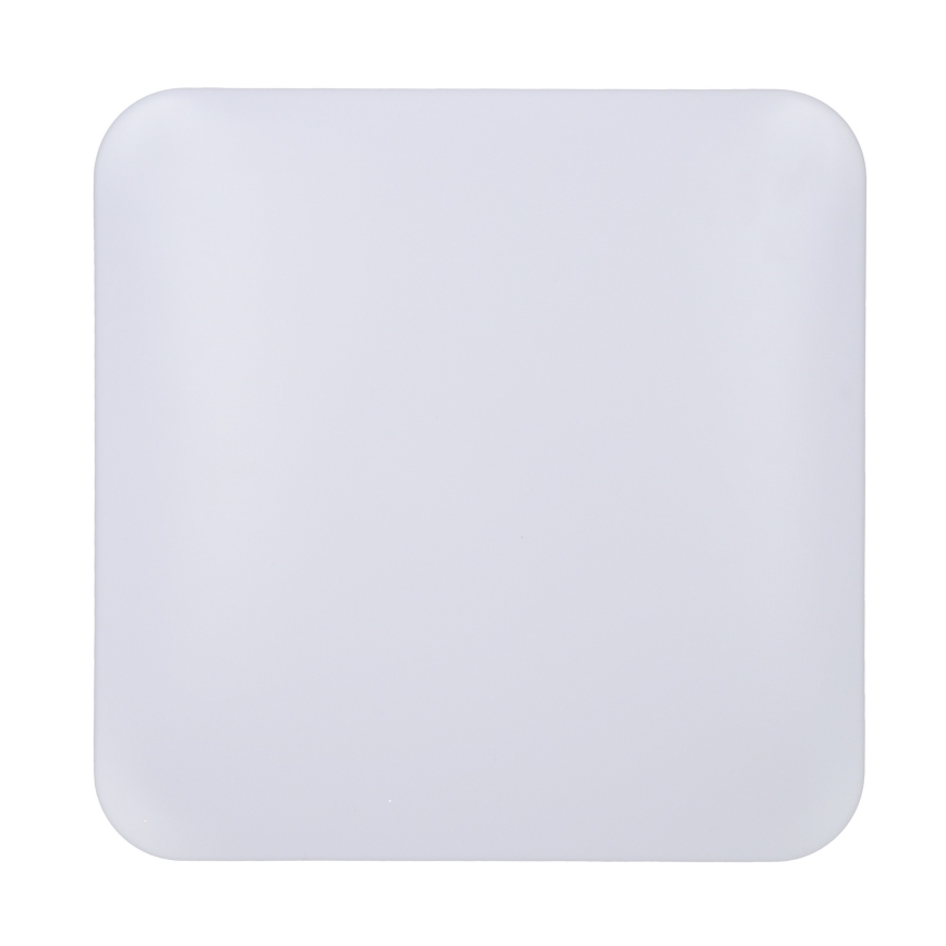Brilagi - Plafón LED PLAIN LED/24W/230V 3000K