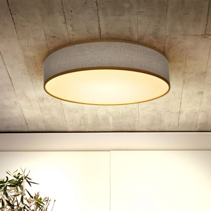 Brilagi - Plafón LED regulable CARMEN LED/48W/230V 3000-6500K diá. 40 cm + control remoto