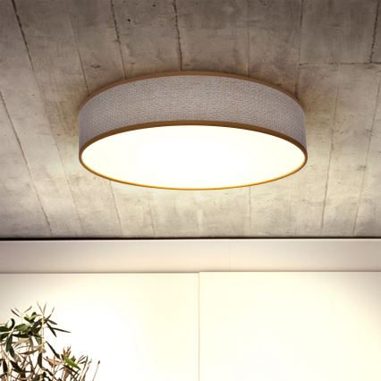 Brilagi - Plafón LED regulable CARMEN LED/48W/230V 3000-6500K diá. 40 cm + control remoto