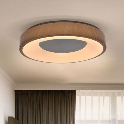 Brilagi - Plafón LED regulable DORIA LED/48W/230V 3000-6500K diá. 39 cm + control remoto