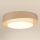 Brilagi - Plafón LED regulable DOVER SHINE LED/24W/230V 3000/4000/6500K gris/color crema + control remoto