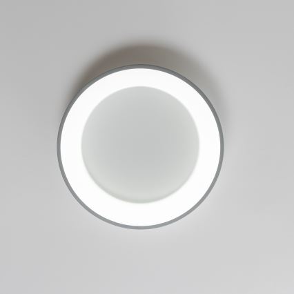 Brilagi - Plafón LED regulable FALCON LED/40W/230V 3000-6500K gris + mando a distancia