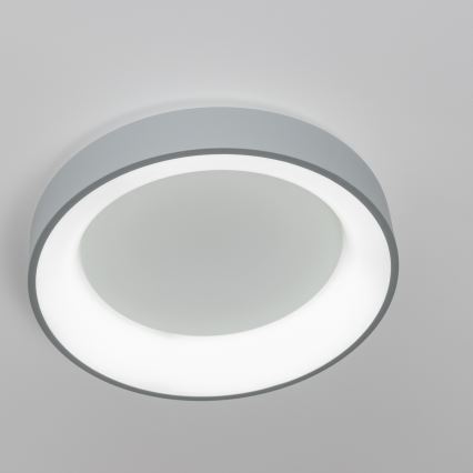 Brilagi - Plafón LED regulable FALCON LED/40W/230V 3000-6500K gris + mando a distancia