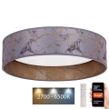 Brilagi - Plafón LED regulable VELVET SMART LED/36W/230V 55 cm 2700-6500K Wi-Fi Tuya gris/dorado + mando a distancia