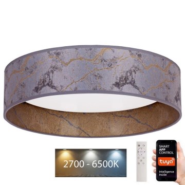 Brilagi - Plafón LED regulable VELVET SMART LED/36W/230V 55 cm 2700-6500K Wi-Fi Tuya gris/dorado + mando a distancia