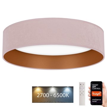 Brilagi - Plafón LED regulable VELVET SMART LED/36W/230V 55 cm 2700-6500K Wi-Fi Tuya rosa/dorado + mando a distancia