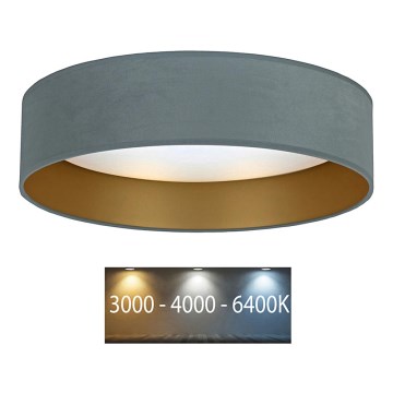 Brilagi - Plafón LED VELVET LED/12W/230V d. 30 cm 3000K/4000K/6400K menta/dorado