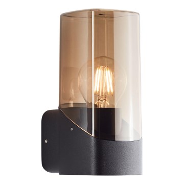Brilliant - Aplique de exterior MINOU 1xE27/10W/230V IP44 negro/ahumado