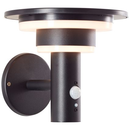 Brilliant - Aplique LED solar con sensor GARVINA LED/3W/3,7V IP44 negro