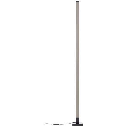 Brilliant - Lámpara de pie LED RGBW regulable NEELE LED/6,5W/230V negro + control remoto