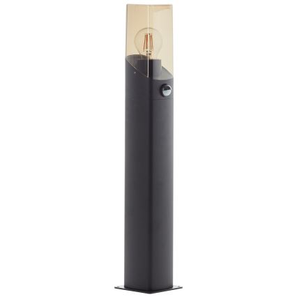Brilliant - Lámpara exterior con sensor MINOU 1xE27/10W/230V IP44 negro/ahumado