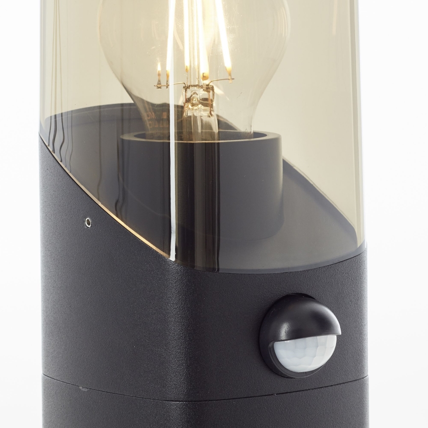Brilliant - Lámpara exterior con sensor MINOU 1xE27/10W/230V IP44 negro/ahumado