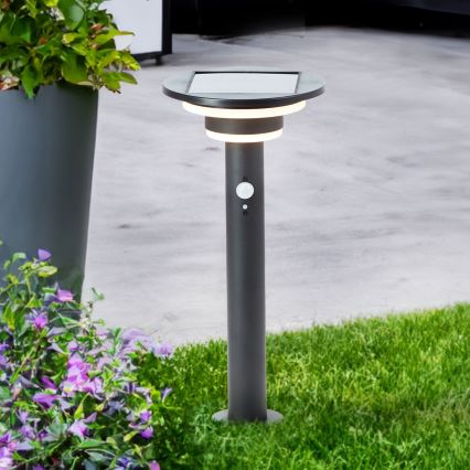 Brilliant - Lámpara solar LED con sensor GARVINA LED/3W/3,7V 45 cm IP44 negro