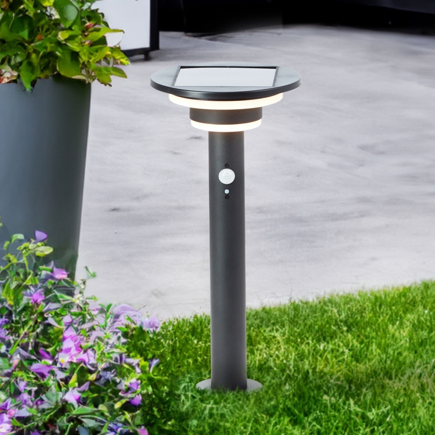 Brilliant - Lámpara solar LED con sensor GARVINA LED/3W/3,7V 45 cm IP44 negro