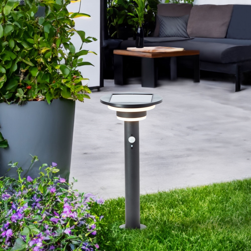 Brilliant - Lámpara solar LED con sensor GARVINA LED/3W/3,7V 45 cm IP44 negro