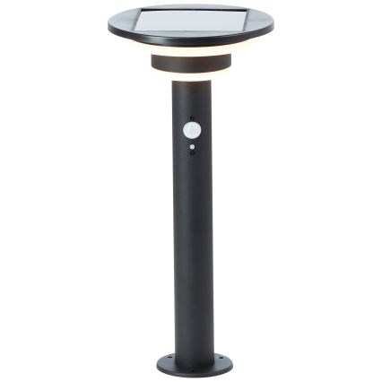 Brilliant - Lámpara solar LED con sensor GARVINA LED/3W/3,7V 45 cm IP44 negro