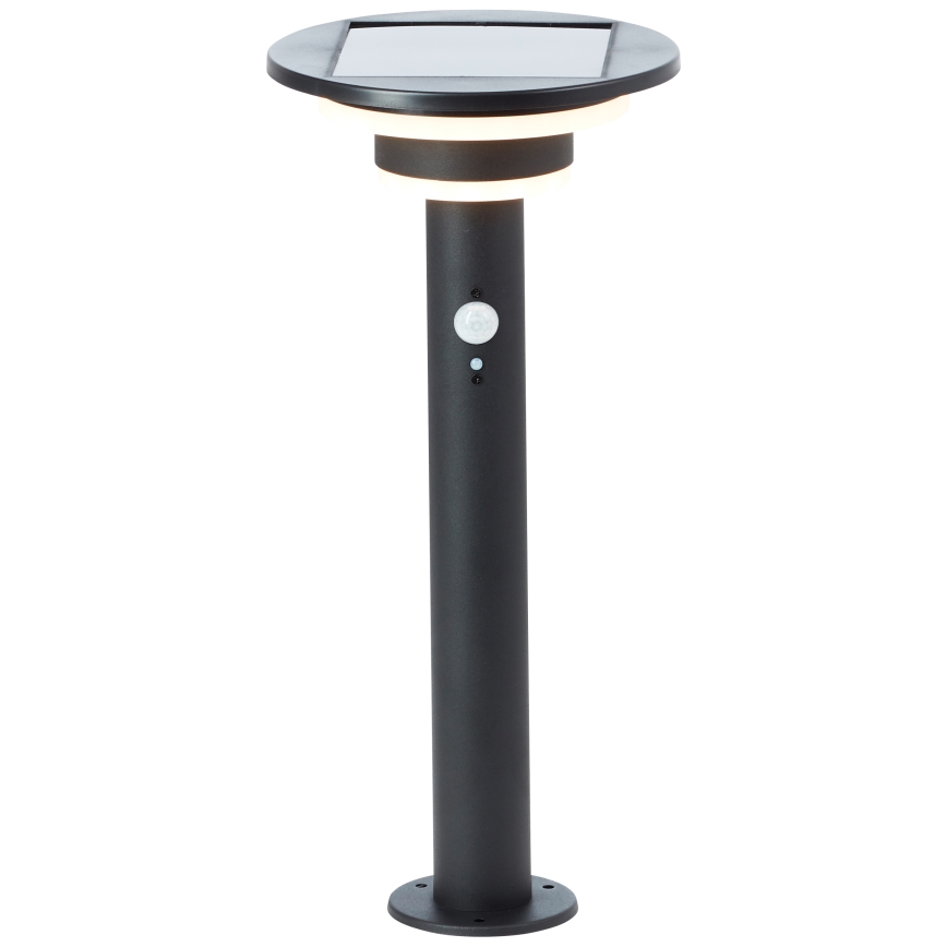 Brilliant - Lámpara solar LED con sensor GARVINA LED/3W/3,7V 45 cm IP44 negro