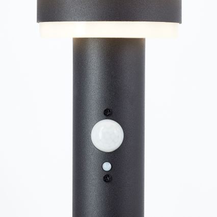 Brilliant - Lámpara solar LED con sensor GARVINA LED/3W/3,7V 45 cm IP44 negro