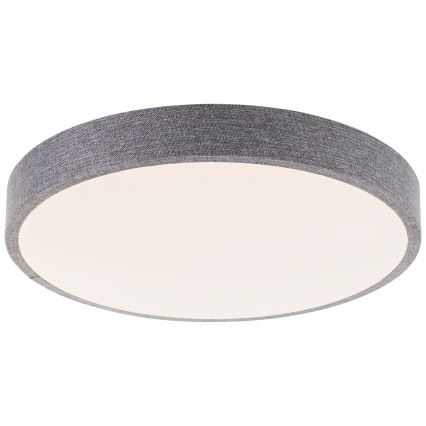 Brilliant - Plafón LED regulable FILIZ LED/24W/230V diá. 38,5 cm gris
