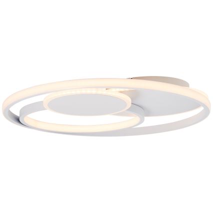 Brilliant - Plafón LED regulable RUNDA LED/50W/230V 3000-6500K blanco + control remoto