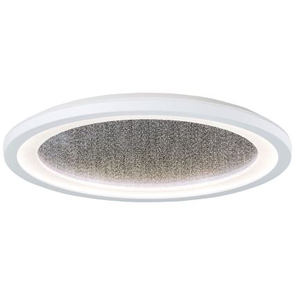 Brilliant - Plafón LED RGBW regulable TANIDA LED/22W/230V 3000-6500K+ control remoto