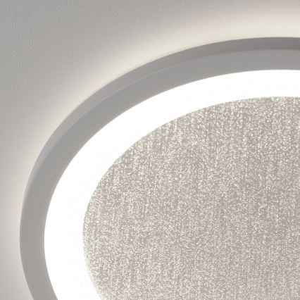 Brilliant - Plafón LED RGBW regulable TANIDA LED/22W/230V 3000-6500K+ control remoto