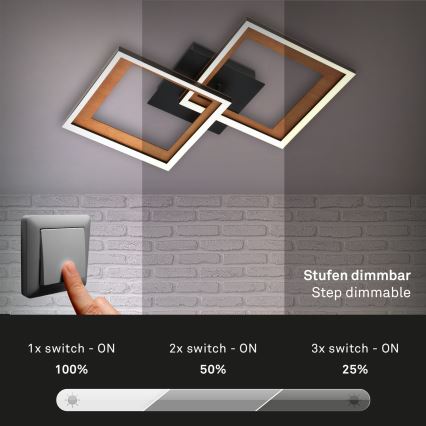 Brilo - Lámpara de techo LED regulable FRAME 2xLED/11W/230V