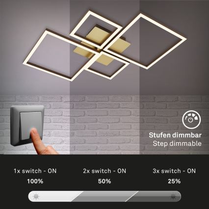 Brilo - Lámpara de techo LED regulable FRAME LED/44W/230V