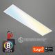 Brilo - Plafón LED regulable PIATTO LED/28W/230V 3000-6500K Wi-Fi Tuya + control remoto