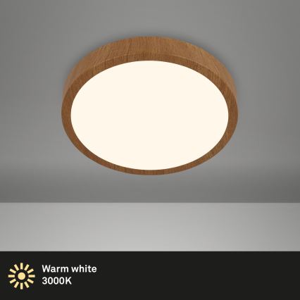 Brilo - Plafón LED RUNA LED/12W/230V