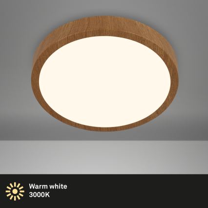 Brilo - Plafón LED RUNA LED/24W/230V