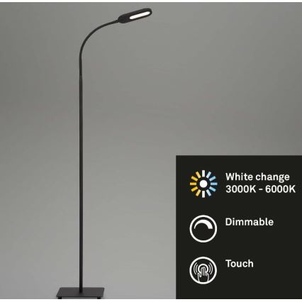 Briloner 1297-015 - Lámpara de pie flexible LED regulable LED/6,6W/230V 3000K/4000K/6000K