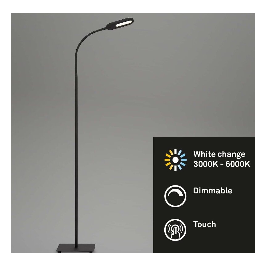 Briloner 1297-015 - Lámpara de pie flexible LED regulable LED/6,6W/230V 3000K/4000K/6000K
