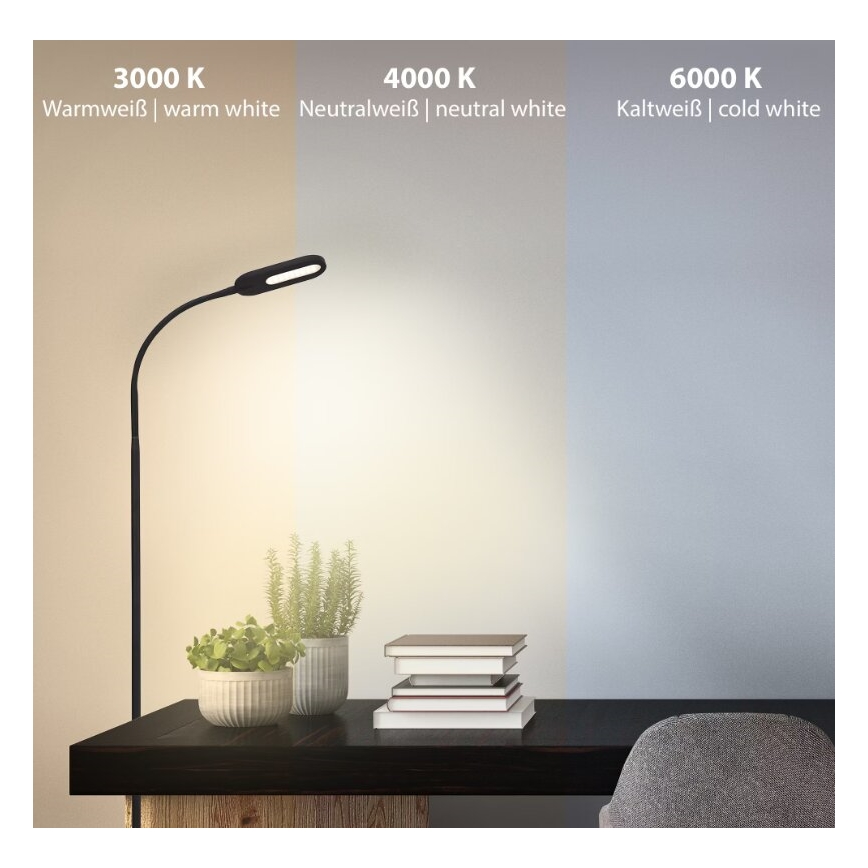 Briloner 1297-015 - Lámpara de pie flexible LED regulable LED/6,6W/230V 3000K/4000K/6000K