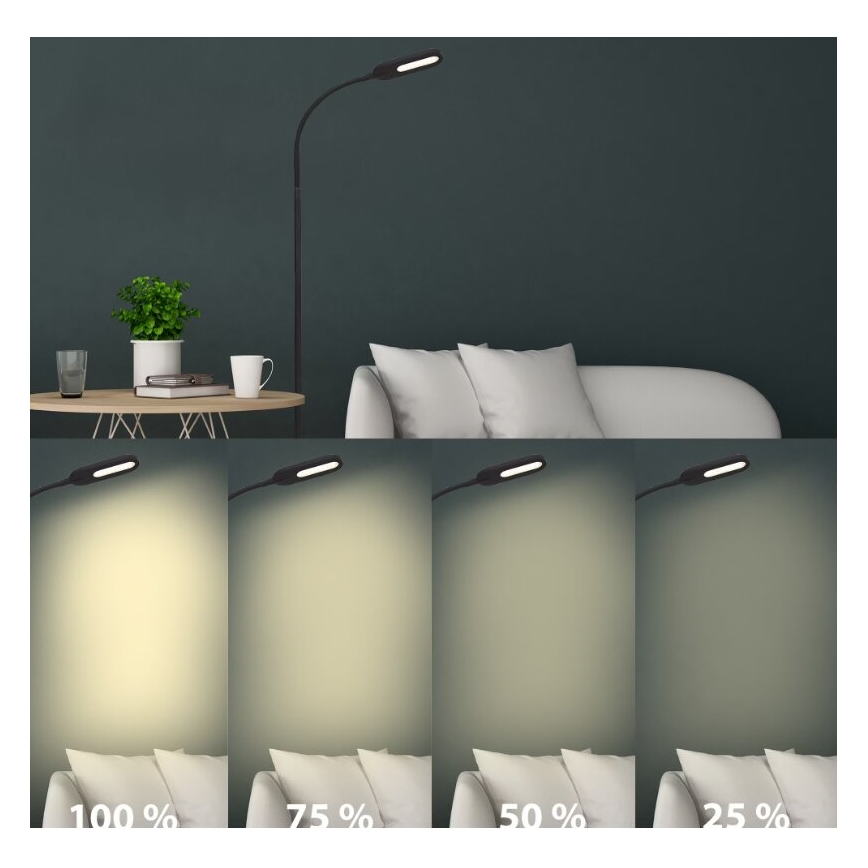 Briloner 1297-015 - Lámpara de pie flexible LED regulable LED/6,6W/230V 3000K/4000K/6000K