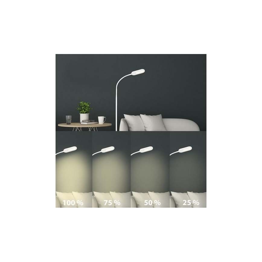 Briloner 1297-016 - LED Regulable táctil Lámpara de pie LED/8W/230V 3000/4000/6000K