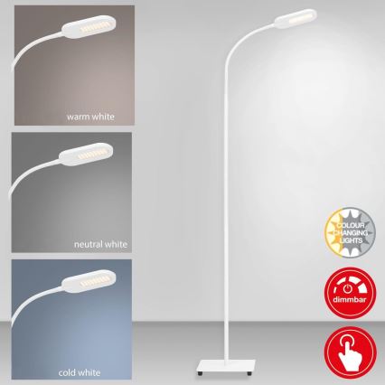 Briloner 1297-016 - LED Regulable táctil Lámpara de pie LED/8W/230V 3000/4000/6000K