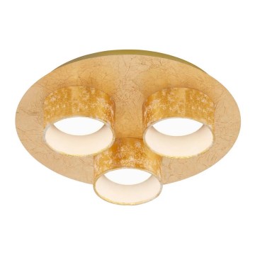 Briloner 2038-037 - Plafón LED PRO 3xLED/5W/230V dorado