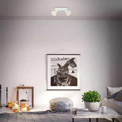 Briloner 2674-026 - Foco RETRO 2xE14/25W/230V blanco